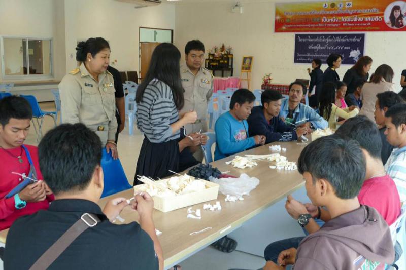 Mol-Thailand